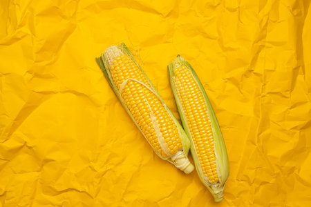 Fresh two raw corn on yellow background, top viewの写真素材