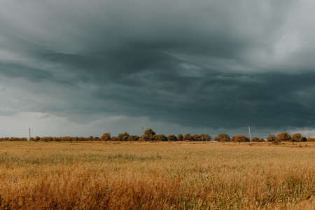 Hurricane in the sky over the field. Dramatic scenic scene. Warm sunset over the meadowの写真素材