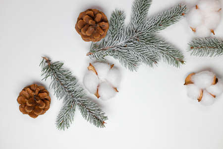 Christmas composition. Pine cones with nature evergreen fir sprigs on white background. Christmas, winter, new year concept. Flat lay, top viewの写真素材