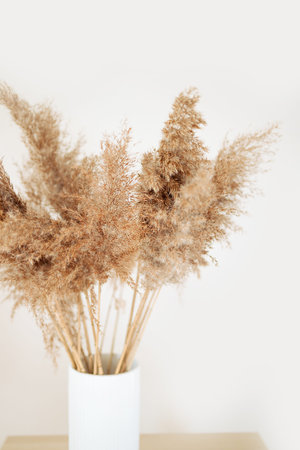 Golden pampas grass in ceramic vase near white wall. New Trendy Home Decorの写真素材