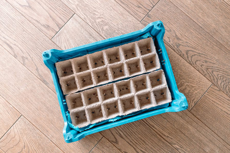 Biodegradable paper pulp peat seedling pots on wooden floor