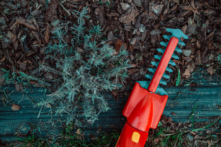 Trimming overgrown dry lavender bush by red electric hedge tool clippers. Working in the garden.