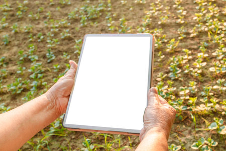 Closeup of young woman farmer hands holding a tablet and checking the progress of the harvest at the...