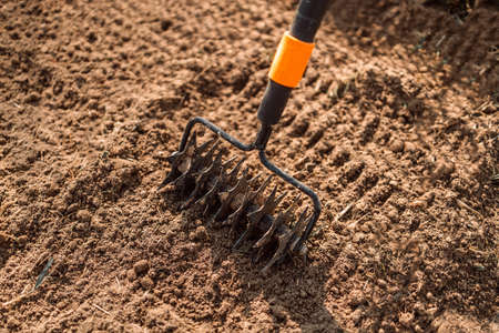 Loosening the soil with a rake in the greenhouse. Close up of an new metal garden rake cleaning earth at spring timeの写真素材
