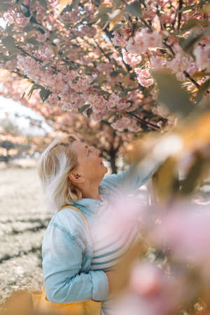Beautiful happy blonde senior 60s woman enjoying sunny day in park during cherry blossom season on a nice spring day.の写真素材