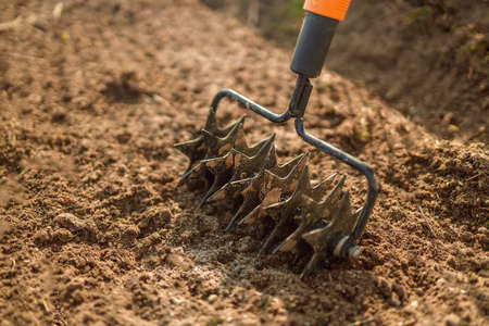 Loosening the soil with a rake in the greenhouse. Close up of an new metal garden rake cleaning earth at spring timeの写真素材