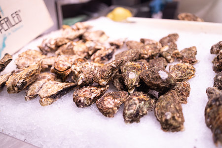 Plenty of fresh closed oysters on ice. Close up. Sea food. Barcelona market, ââSpainの写真素材