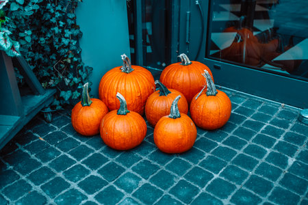 Pumpkins, heather a decorating the steps of a flower shop. Halloween and Thanksgiving day. Festive pumpkins. Festive autumn pumpkins on a doorstep. A collection of festive pumpkins. High quality photoの写真素材