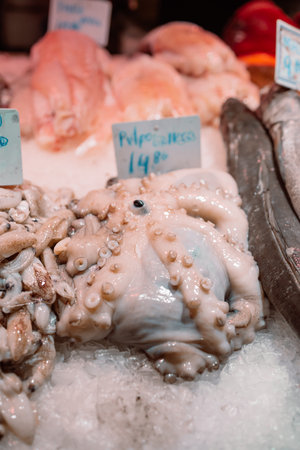 The squid caught by the fishermen are sold directly at the fish auction before being sold at the market. Shopping in an Spain Seafood Store, selective focus.の写真素材