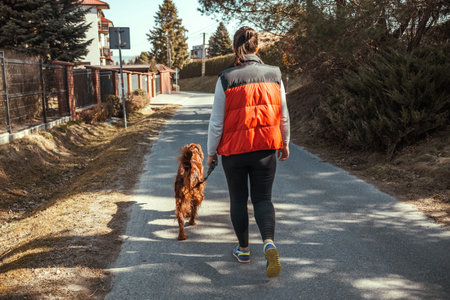 full length view of beautiful girl in casual clothes waking in park with Irish Setter dog. High...