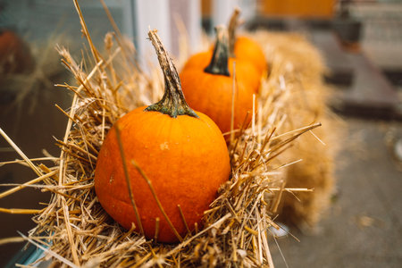 Halloween decorations outside. Pumpkins decor street fall harvest orange. High quality photoの写真素材