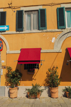 Old houses in Pisa, Tuscany, Italy. Beautiful street decorated with plants in classic ceramic pots on a yellow wall background at old city street of PIsa in Italyの写真素材