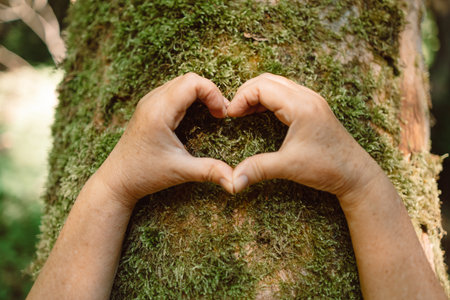 Heart hand on tree with moss, loving the nature. Hand touching a tree trunk in the forest. High quality photoの写真素材