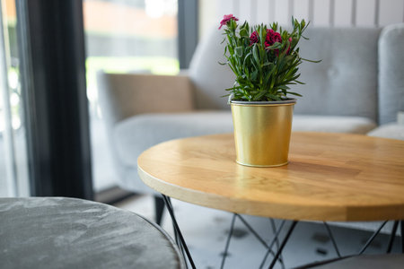 Natural green leafy flower pot for succulent decoration on the table in cafe.. High quality photoの写真素材