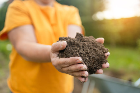 Female hands touching soil on the field. Expert hand of farmer checking soil health before growth a seed of vegetable or plant seedling. Business or ecology concept. High quality photoの写真素材