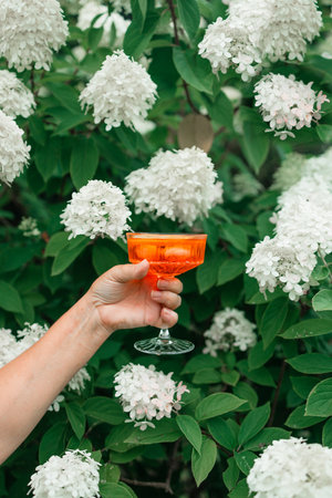 Female hand holding spritz cocktails outdoors, focus on handsの写真素材