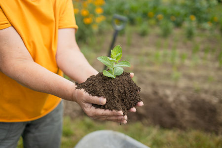 Closeup hand of person holding abundance soil with young plant. Hand of farmer inspecting soil health before planting in organic farm. Concept green world earth day. High quality photoの写真素材