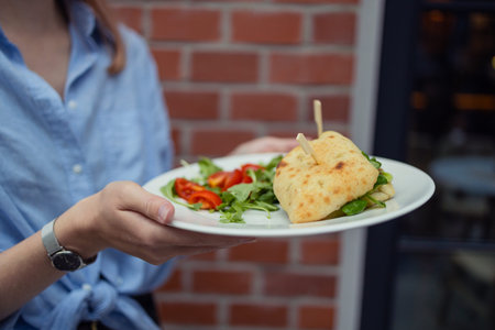 Woman hands holding a plate with fresh sandwich and chicken and vegetables. High quality photo