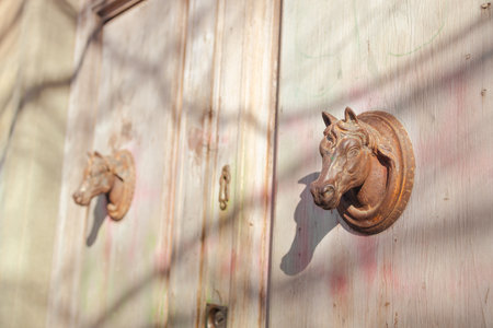 Fragment of brown old wooden door with metal door handles horse head shaped. Florence, Italy. High quality photoの写真素材