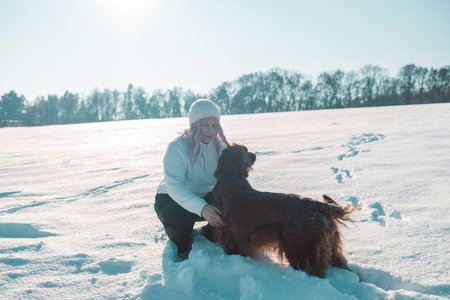 Active Irish Setter dog with woman running slow motion footage during the snowy walking, having fun...