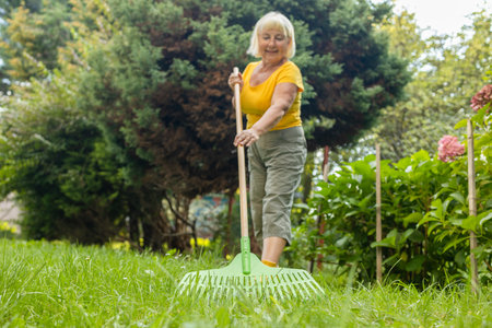 Raking leaves. Picture of elderly woman gardener working with tools in the garden, preparing the garden for winter, spring. Taking care of the garden. High quality photoの写真素材