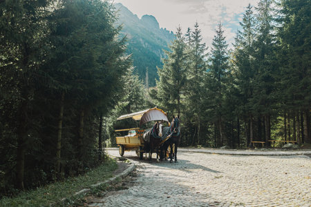 Horse with carriage in the historic center of Zakopane mountain village on a way to morskie oko against tall trees and tatry mountainsの写真素材