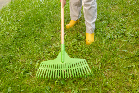 Raking leaves. Picture of elderly woman gardener working with tools in the garden, preparing the garden for winter, spring. Taking care of the garden. High quality photoの写真素材