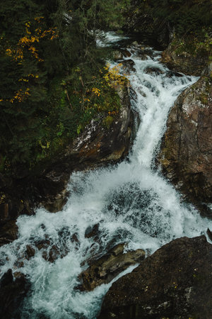 Wild river waterfall in mountain forest. High quality photoの写真素材