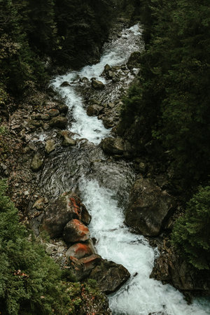 Wild river waterfall in mountain forest. High quality photoの写真素材
