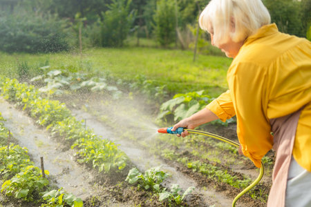 Senior woman watering fresh plants growing at home vegetable garden. Gardener taking care of plants at the backyard of her house. Concept of sustainability and growing organic. High quality photoの写真素材