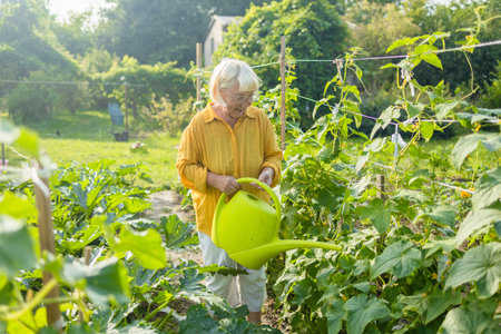 Happy 50s 60s senior woman taking care of flowers outdoors in garden, watering with can. Female preparing for preparing flowers for international women day. High quality photoの写真素材