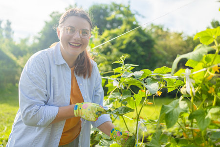 Happy woman farm worker gathering crop of organic cucumbers in garden farm. Harvest cucumbers in a basket.の写真素材