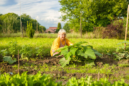 Positive senior woman is working in the garden with garden tools. A smiling elderly woman gardener is caring for f plants in a mixed border. Hobby in retirement. High quality photoの写真素材