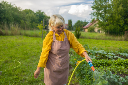 Senior woman watering fresh plants growing at home vegetable garden. Gardener taking care of plants at the backyard of her house. Concept of sustainability and growing organic. High quality photoの写真素材