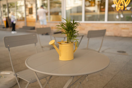A small plant in a yellow pot on grey city cafe table outdoors. High quality photoの写真素材