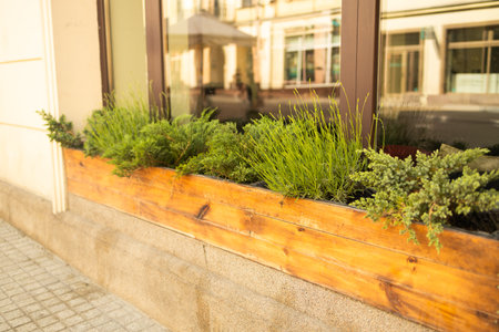 Outdoor cafe with potted plants. High quality photoの写真素材