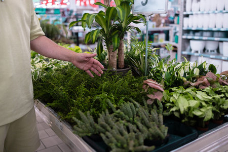 Portrait of smiling young bearded man in green t shirt holding while choosing plants in home goods store. Plant, nature, shopping concept. High quality photoの写真素材