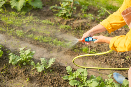 Senior woman watering fresh plants growing at home vegetable garden. Gardener taking care of plants at the backyard of her house. Concept of sustainability and growing organic. High quality photoの写真素材