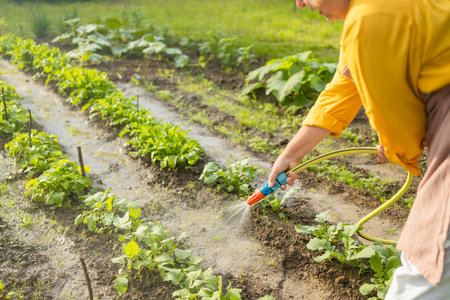 Senior woman watering fresh plants growing at home vegetable garden. Gardener taking care of plants at the backyard of her house. Concept of sustainability and growing organic. High quality photoの写真素材