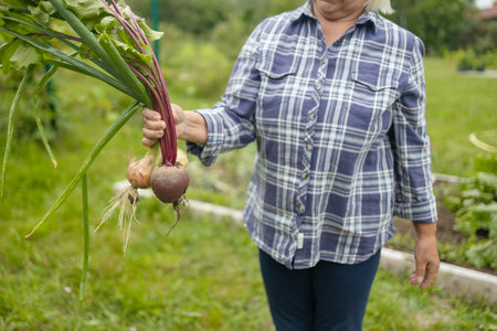 Women holding delicious fresh vegetables, harvesting onions and beetroots in the backyard garden. Selective focus. Farmer holds a braid of ripe onion.の写真素材