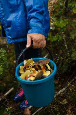 Woman with mushrooms in wicker basket in autumn forest. Harvesting edible mushroom in woodland. Fall season. High quality photoの写真素材