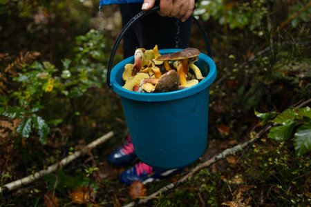 Woman with mushrooms in wicker basket in autumn forest. Harvesting edible mushroom in woodland. Fall season. High quality photoの写真素材