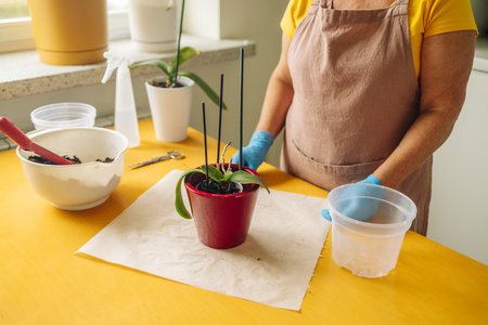 Woman farmer preparing to replant orchid plants by use a shovel to scoop the soil into the pot. Indoor gardening hobbies and jobs indoor plants at home.の写真素材