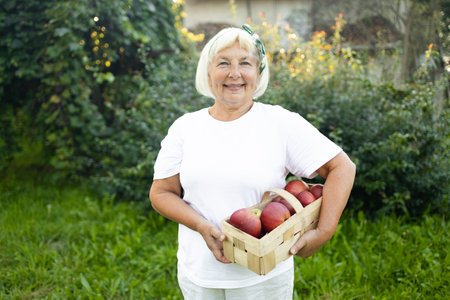 Caucasian senior 60s 70s woman with basket full of ripe red apples in a sunny garden at a backyard. Smiling attractive female is standing with full basket of organic apples in sunlit orchard. High quality photoの写真素材