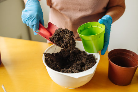 Female gardener hand holds a scoop of compost soil and pours it into a pot. Garden room gardening, Plant room, Floral decor.の写真素材