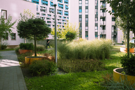Residential area with ecological and sustainable green residential buildings, low-energy houses with apartments and green courtyardの写真素材