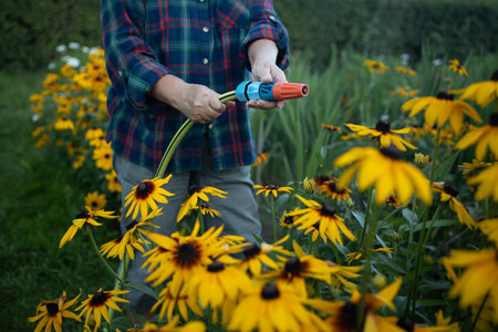 Woman farmer watering flowers in bloom with watering can in summer garden. Gardener taking care of flowers.の写真素材