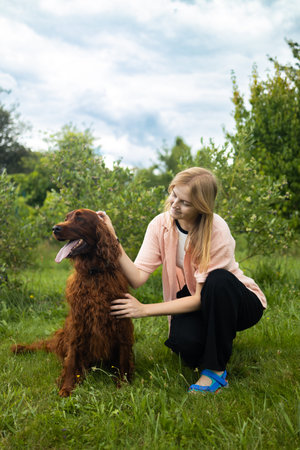 A person petting and playing with their Irish Setter dog in a backyard garden setting. High quality...
