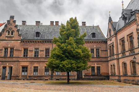 Huge green tree grows among touristic old buildings in the old town of Prague, Czech Republic. High quality photoの写真素材