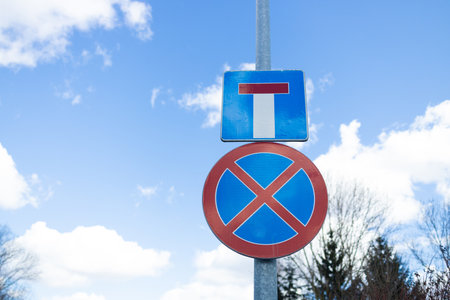 Two traffic signs: a "T" shaped stop sign indicating the end of the road and a "No Parking" sign, both set against a backdrop of blue sky and trees. These signs provide critical road information for drivers.の写真素材